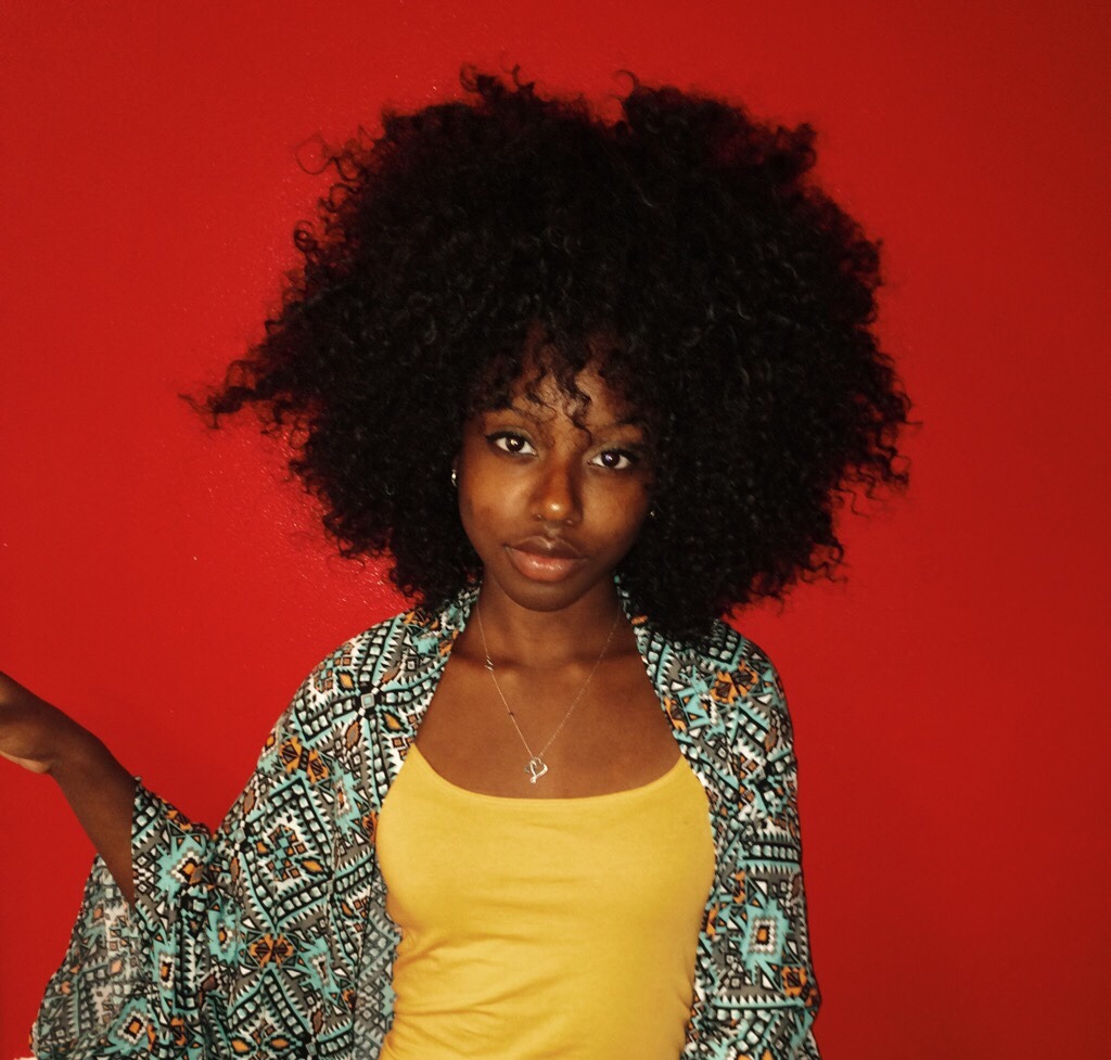 curls-bythapound:  Afrocentrism 🚥✨ 