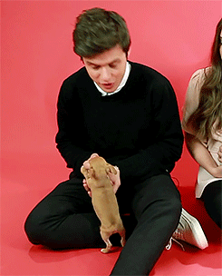 dylanobriyn:Nick Robinson playing with puppies (◠‿◠✿)