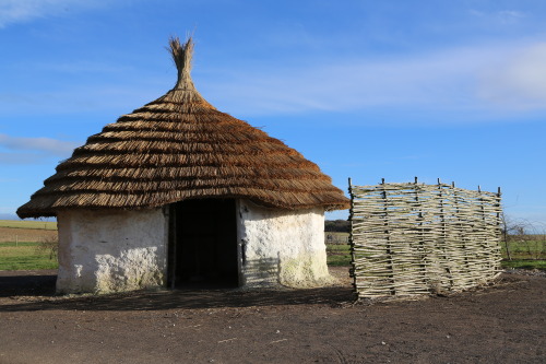 Neolithic Housing, Stonehenge, 28.1.17.