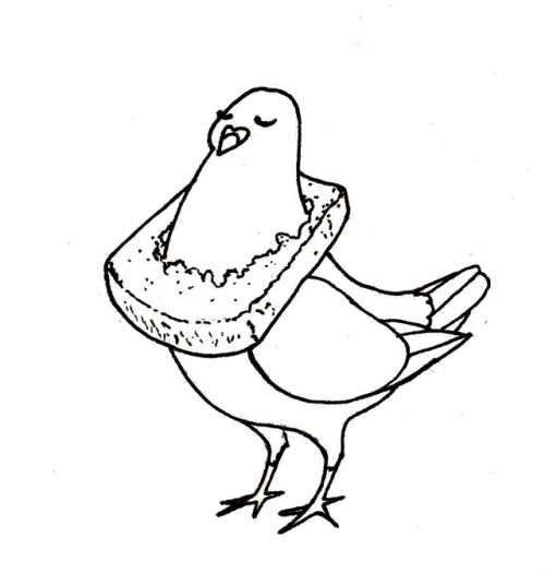 carassiusanis:I’ll try to draw pigeons all month, join me, it’s never too late to draw s