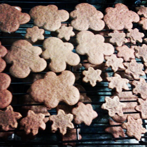 Gingerbread cookies!!!! #yummy #sopumped #bakedthemmyself #imtherealmvp
