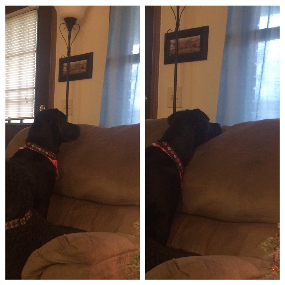 awwww-cute:  Wife sent me this with the text: “Dad? Not dad.” (Source: http://ift.tt/1mOWPLr)