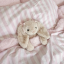 hamster125