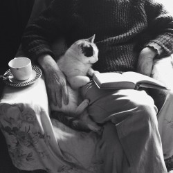 willee-i-am:The elderly of the house, reading an old book.