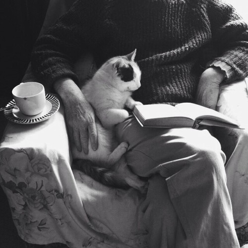 willee-i-am: The elderly of the house, reading an old book.