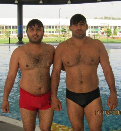 Osos Latinos