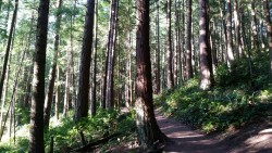 sagecedars:  Such beauty within minutes of my doorstep. Hiking has become my cross training and with the first 1.8 miles of this hike going up switchbacks to climb 1000 feet, my legs and booty feel cross trained. This is a perfect 5 mile up, around the