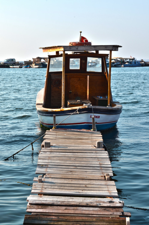 İnciraltı/İzmir/Turkeyby Seda Coşkun