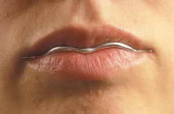  Anika Smulovitz, Lip Liner, 2003 