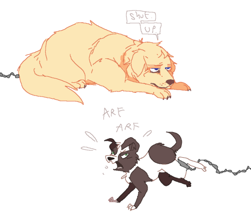 cheekyadam:i cant believe i made them DOGES