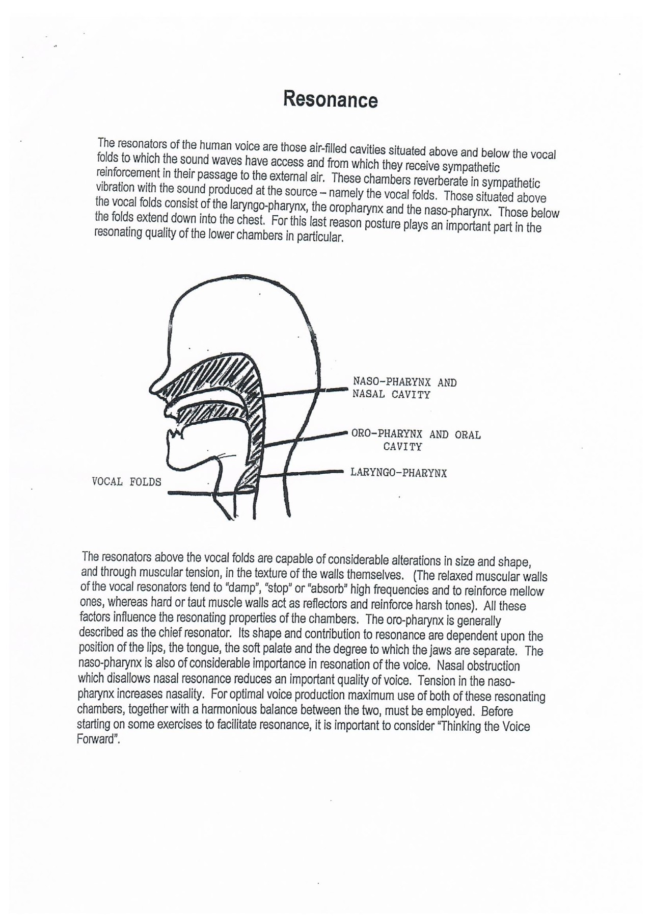 asciiheart:  asciiheart:  i went to a speech therapist for vocal feminisation recently,