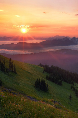sundxwn:  Beyond the Range by Trevor Anderson  🎀