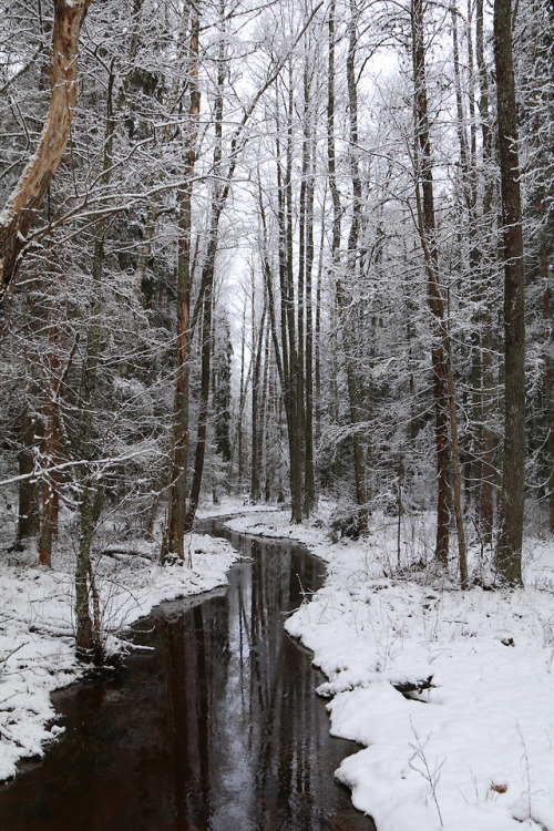 michaelnordeman:Värmland, Sweden.