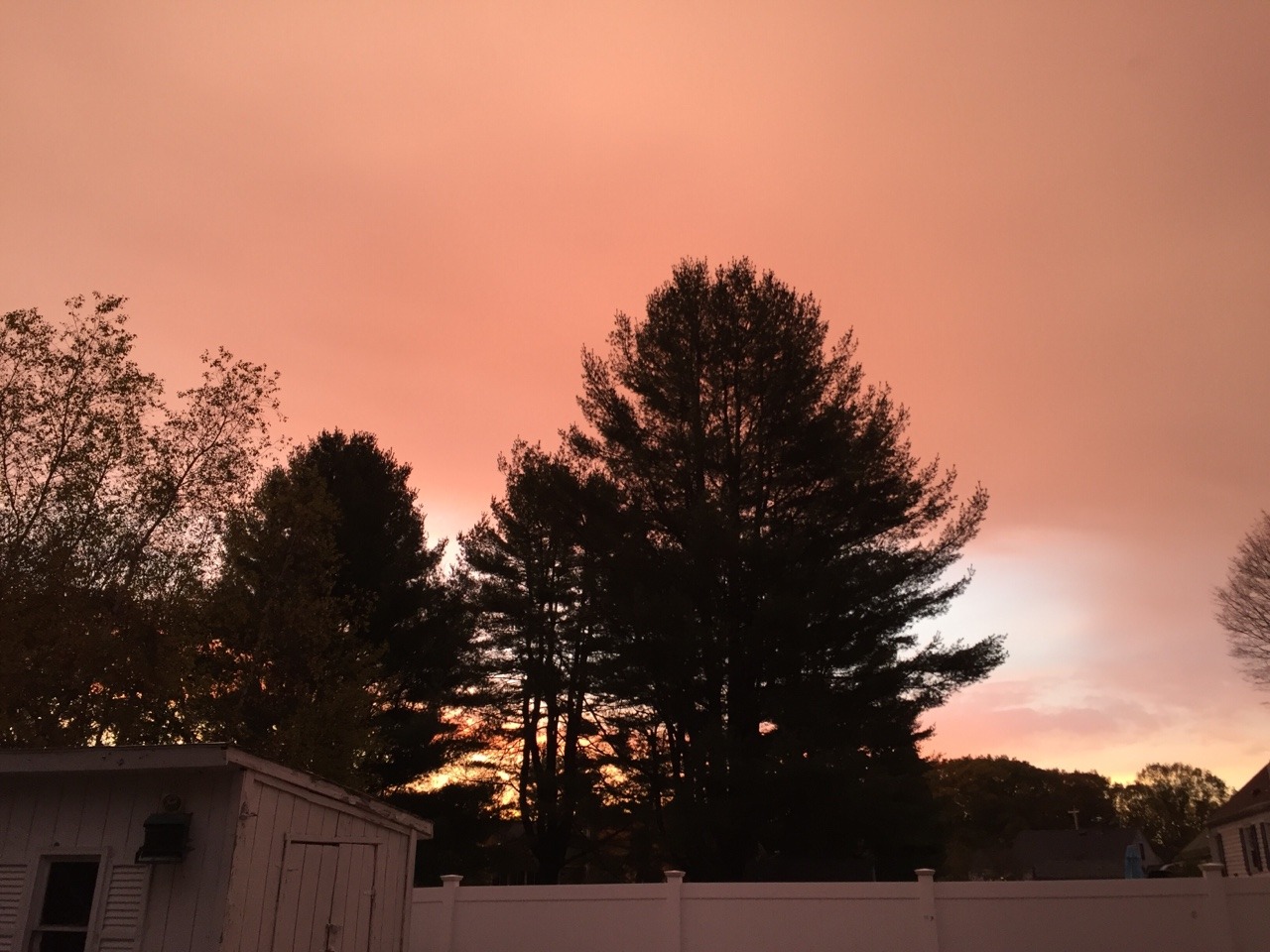 psychedelic-freak-out:  The sky was crazy cool this morning