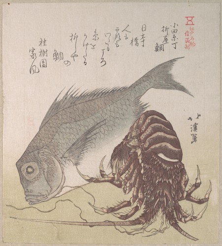 met-asian: by Totoya Hokkei, Metropolitan Museum of Art: Asian ArtH. O. Havemeyer Collection, Beques