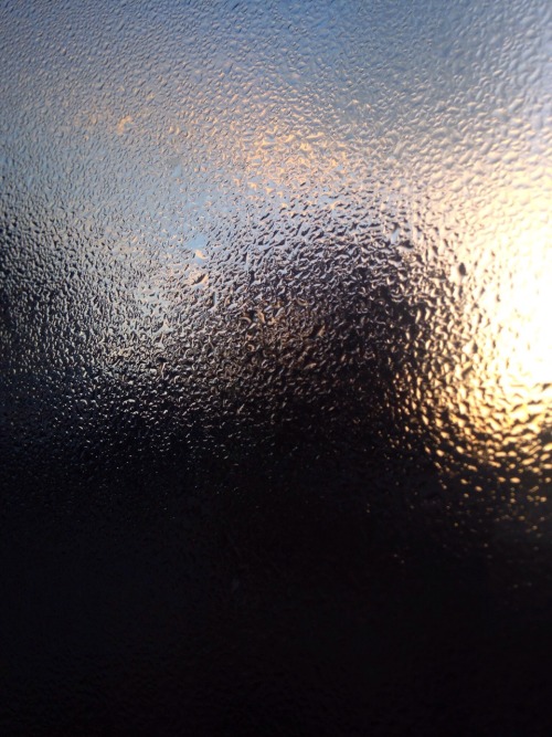 snailkiddo:  woke up early to a beautiful sunrise and dewy windows
