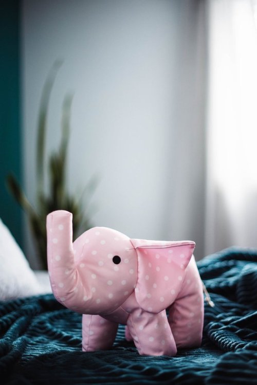 Sex elephantwildlife:   Our new Stuffed Elephants pictures