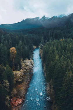 natura-e: banshy:  Lower Lewis Falls by: Nick Verbelchuk    - Nature blog ^^   