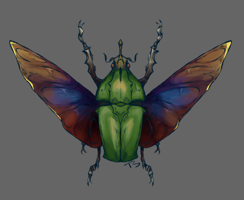A digitally drawn depiction of a green beetle, with iridescent wings. The line art is intentionally shaky and the colors are slightly blotchy, though contained by the line work.