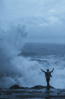 canhappenlove:  ♛