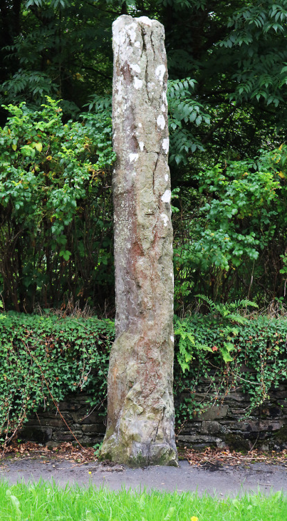 Trefllys Standing Stone, Pentrefelin, nr. Porthmadog, North Wales, 28.8.18.Hidden in plain site righ