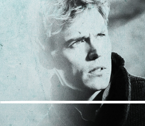 brokenfinnick:Far below, I can just make out Finnick, struggling to hang on as three mutts tear at h