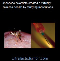 ultrafacts:  Source    Follow Ultrafacts for more facts   