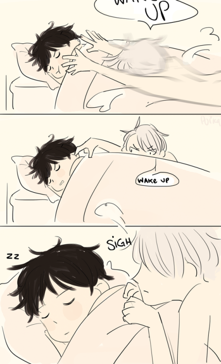 poikas:  how to wake up your fiance