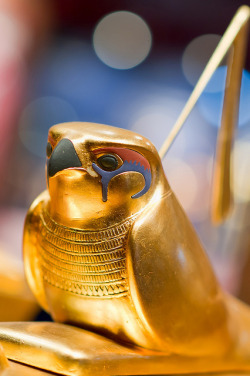 dwellerinthelibrary:  Toutankhamon by Phil KP on Flickr.  The falcon god Gemehsu atop a standard. Part of the treasure of Tutankhamun.