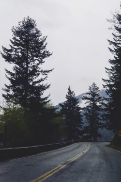 northwezt:  Forks, Washington (April 26,