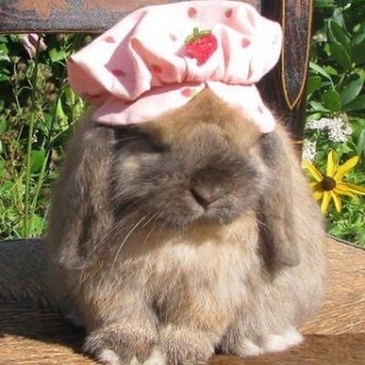 madammaddy: