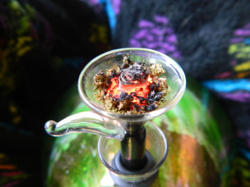 m0nster9: buddhagrass: save your roaches for a rainy day one hit time bomb :D