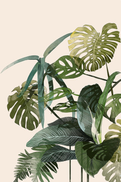 1000drawings:  Botanic  by Agata Wierzbicka