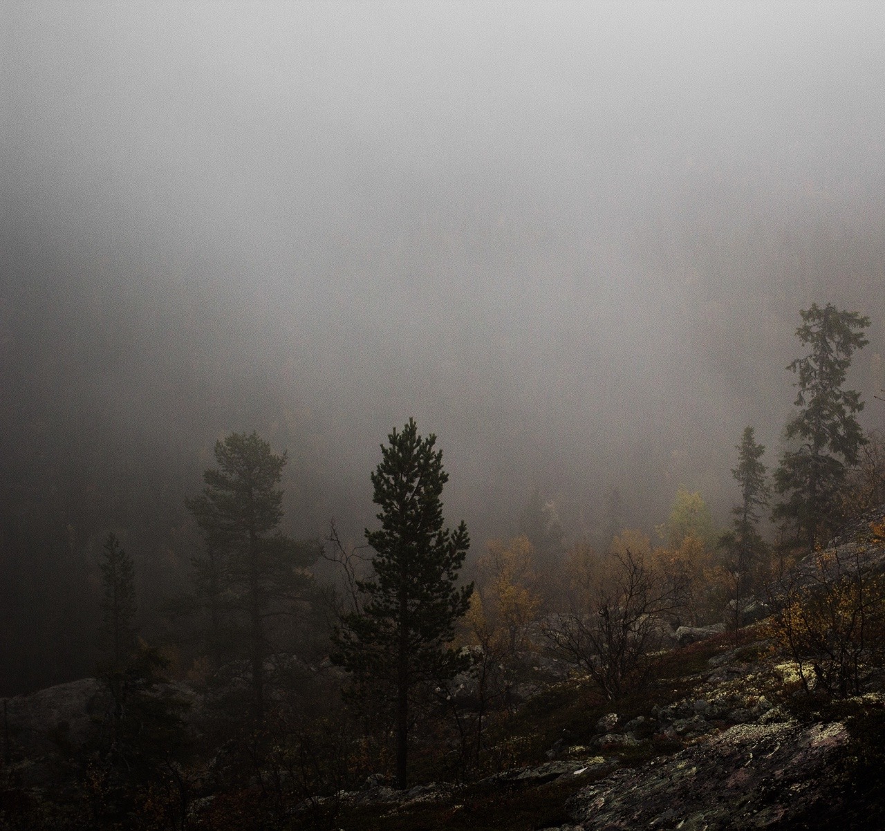 forndom: “Markerna bortom&quot; © Forndom