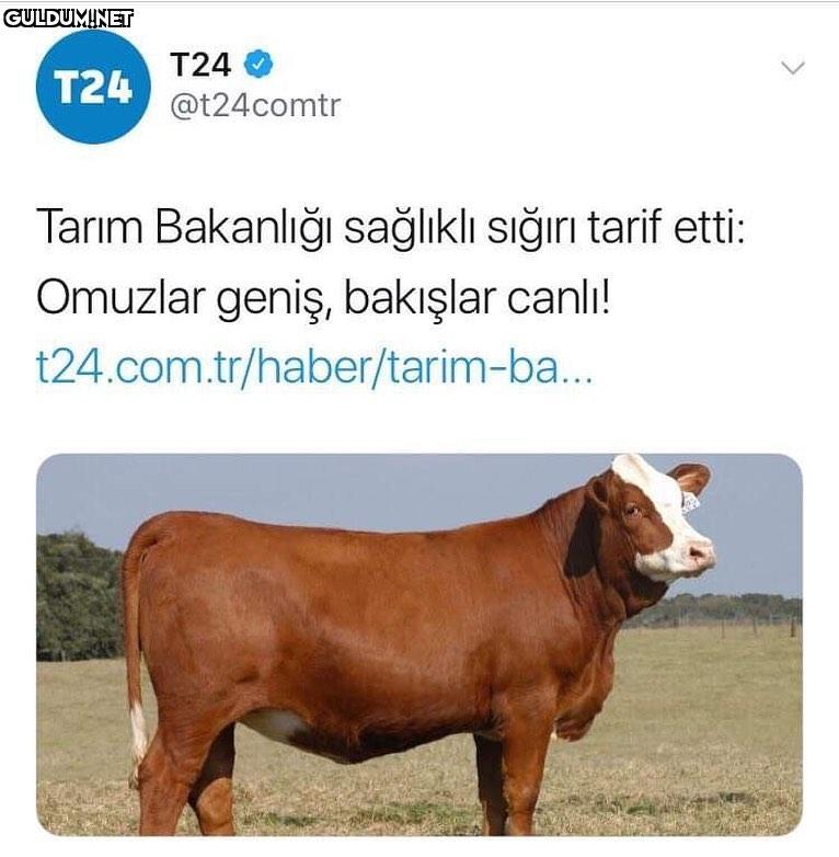 Tanıdığımız sağlıklı...