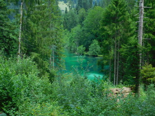 lithyena:This secret lake is the most beautiful lake I’ve ever seen - I even swam in it! It was a ho
