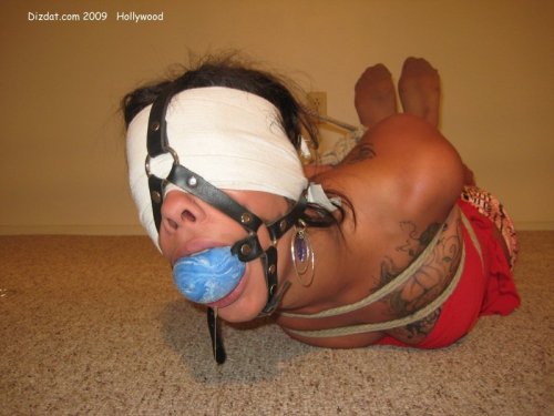 diaryofasexcrazedbbw: Some guys get into bondage for the fuzzy cuffs and cheap blindfolds.  I’m pret
