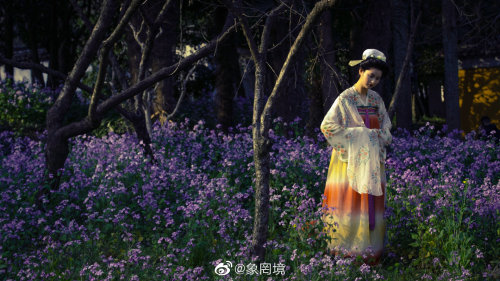 [Hanfu · 漢服]China Tang Dynasty Chinese Traditional Clothing Hanfu PhotoshootsLate Tang Women&