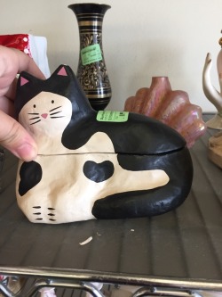 shiftythrifting:  A cat box with a smaller cat inside it. I expected nesting cats to go on forever but it’s just the two.