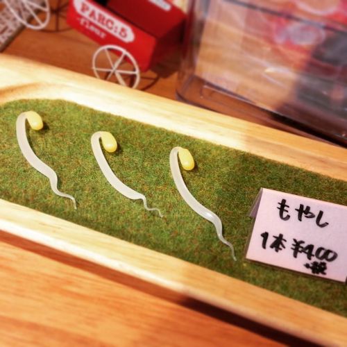 dekoi2501post:  ミオリさんはTwitterを使っています: “小樽にはそれはもう様々なガラス細工がある。 その中でなぜこれをガラスで作ったしw部門第一位はコレ、もやし。 https://t.co/q1nWf8O153”