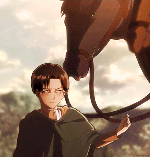Featured image of post Levi Ackerman Gifs Cute