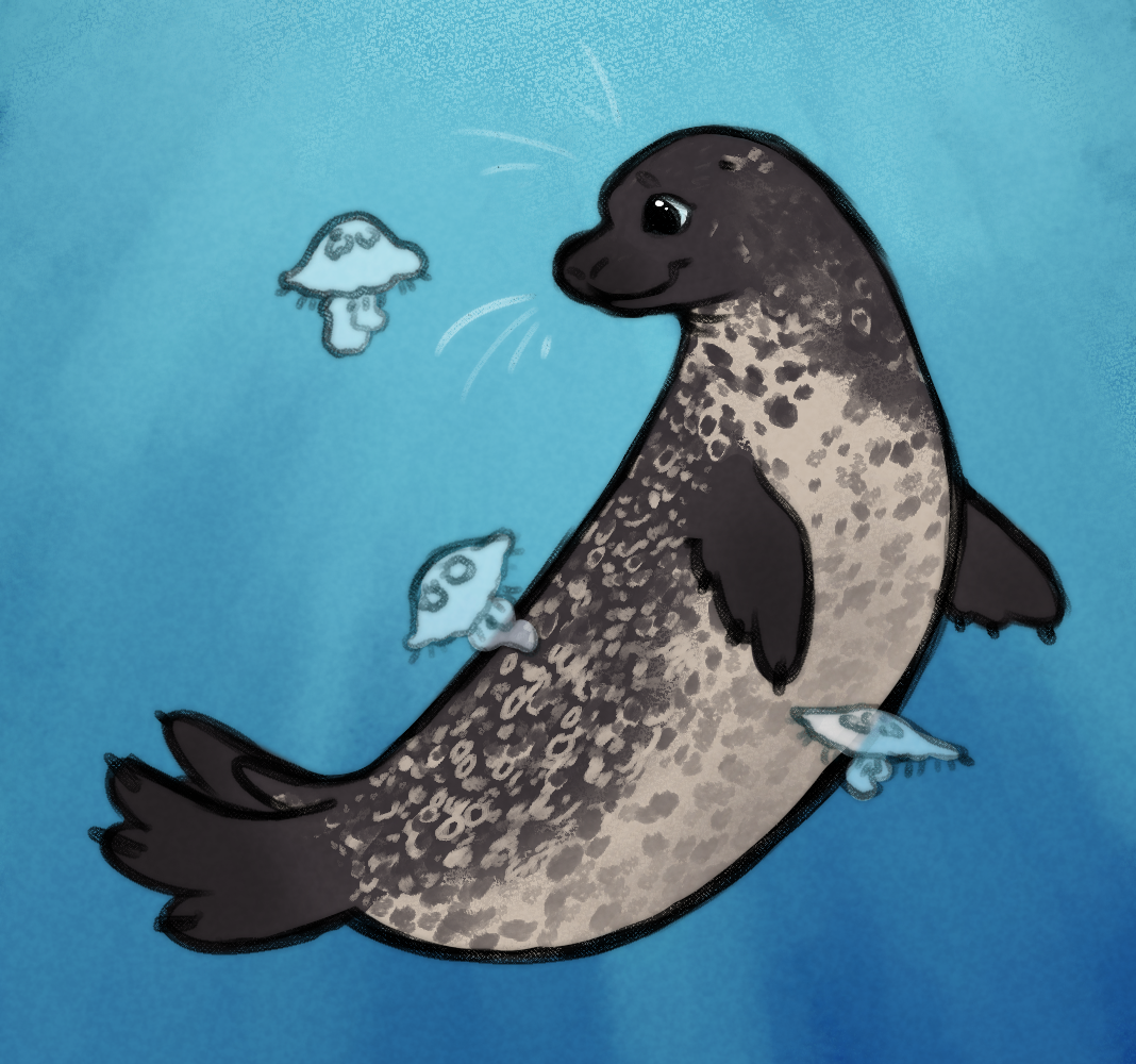 A drawing of a black and white spotted harbor seal. He is swimming against a blue background, and is looking at one of three moon jellies.