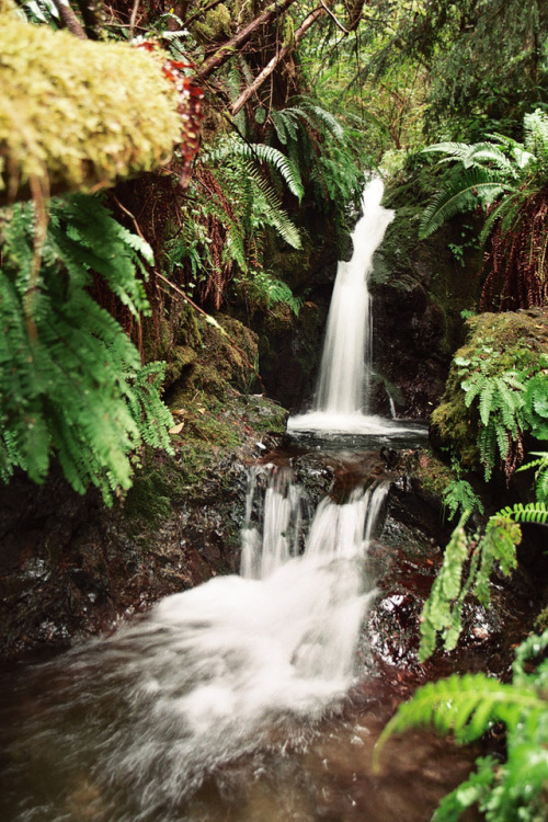 Porn photo satakentia: San Juan Islands WaterfallOlympic