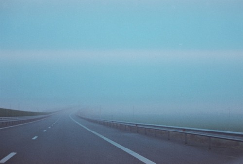 alcyere:  Untitled (by skippedheartbeats) 
