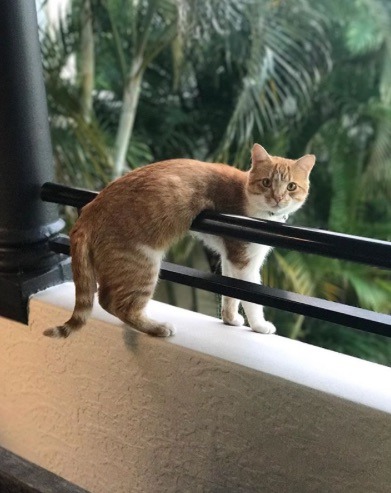 Hello!