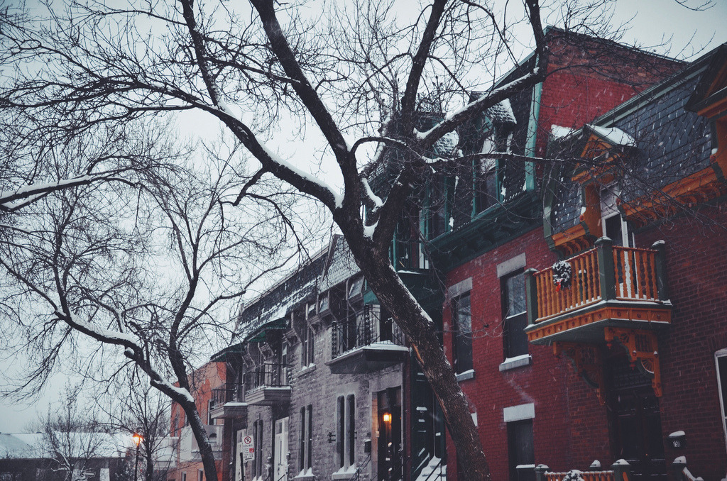 englishsnow:  by Amélie R 