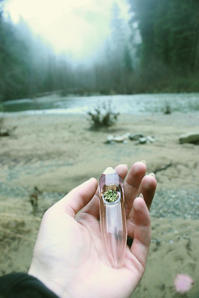  ॐ ALL WE REALLY NEED IS WEED ॐ 