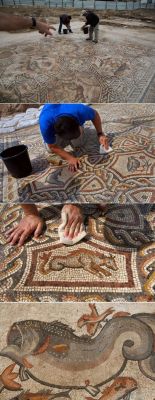 only1600kids:    A massive, well-preserved; 1,700 year-old Roman mosaic was recently unearthed while performing city sewer construction 