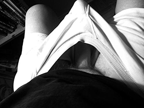 alfredhugekok:  Putting the hump in humpday