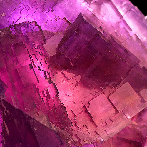 bijoux-et-mineraux:  Fluorite - Denton Mine, Illinois 